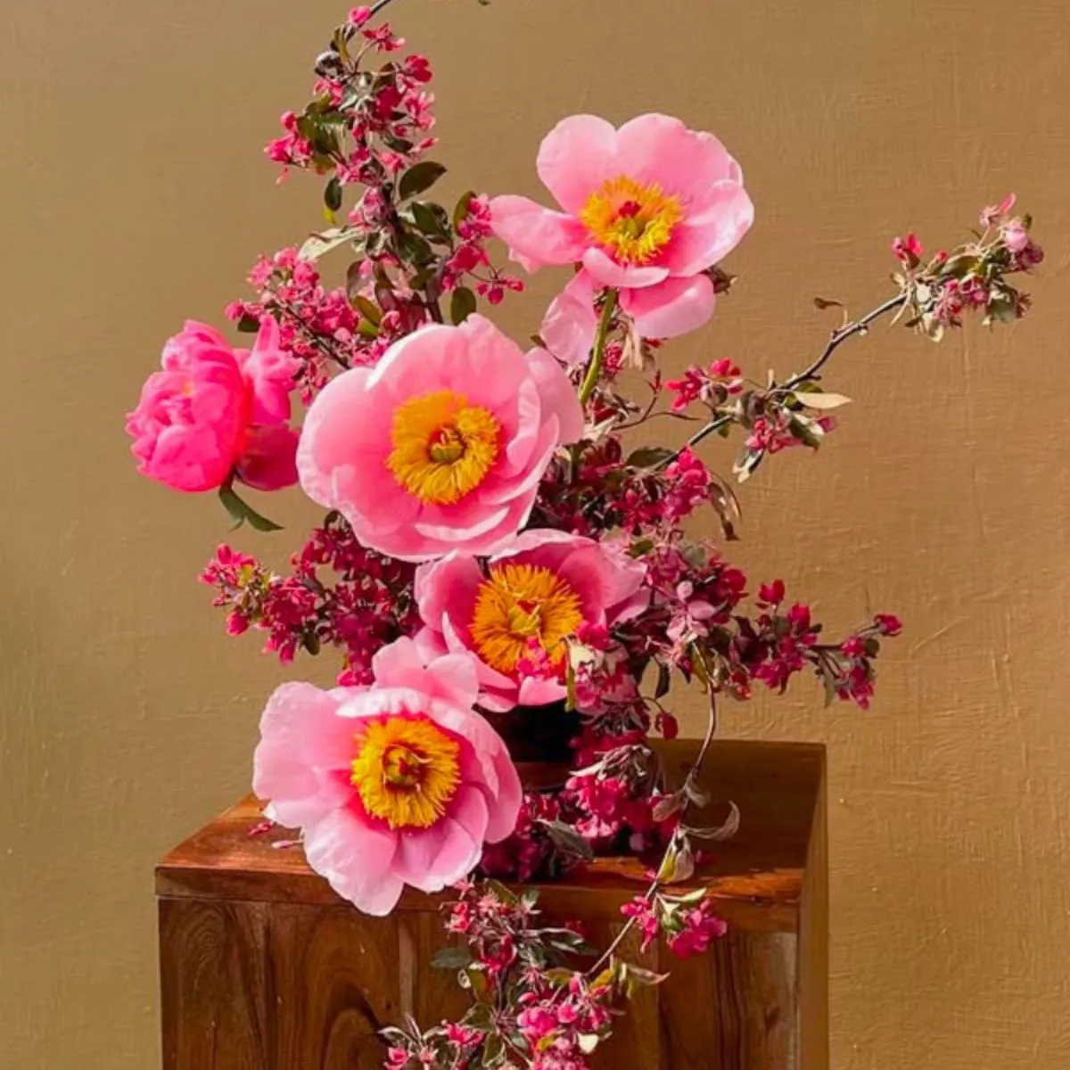 Peony Soft Salmon Saucer by sageforest