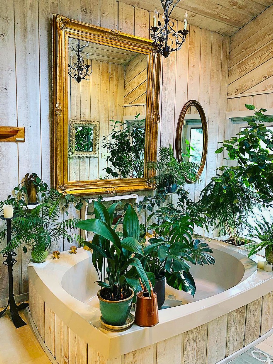 How Can You Choose Decorative Plants for the Bathroom That Complement Your Decor?