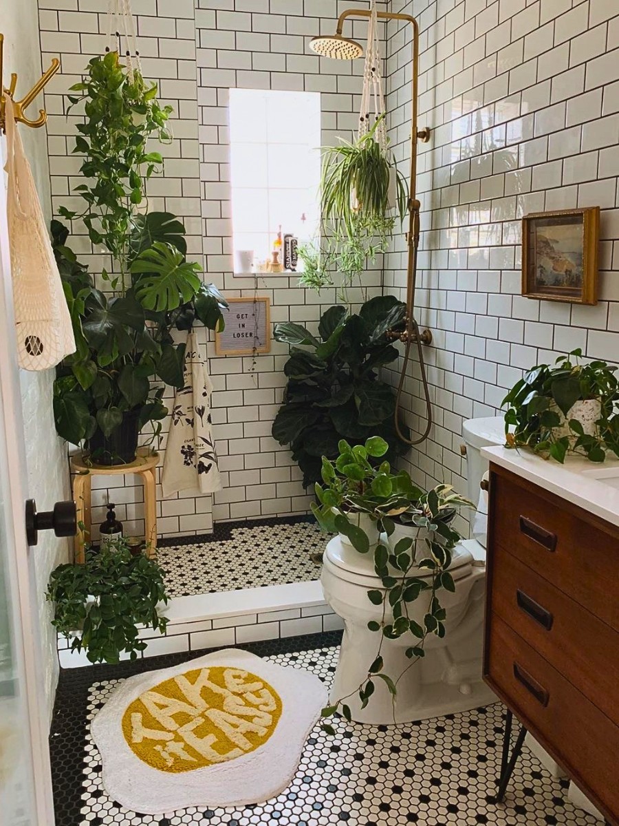 How do I choose plants for bathroom decor that match my interior style? Choosing plants for bathroom decor that match your interior style comes down to three factors: color, texture, and scale. 