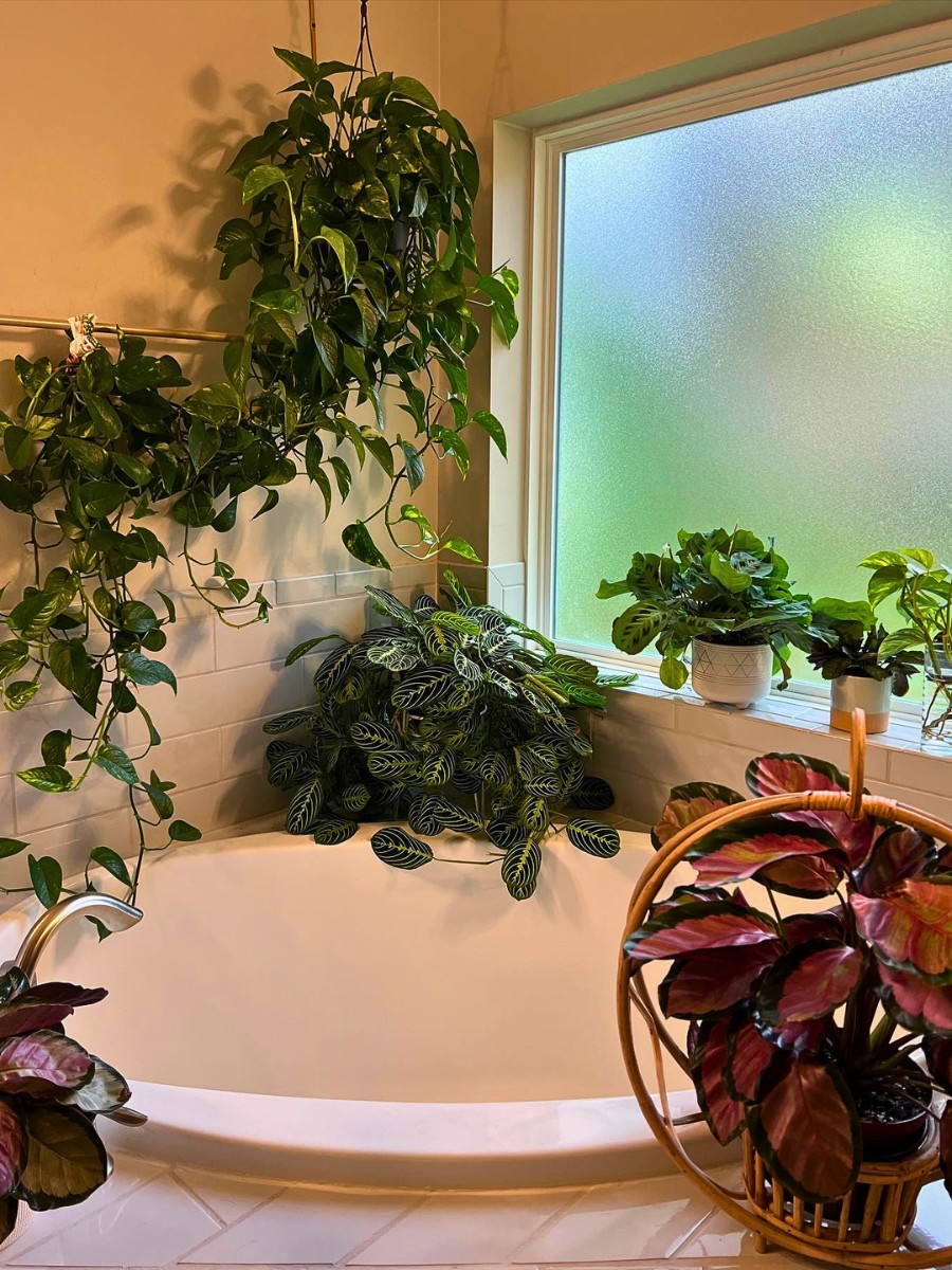 Are artificial plants for bathroom decor a good alternative to real ones? Artificial plants for bathroom decor or faux plants for bathroom decor can seem like a convenient solution &mdash; no watering, no maintenance, no worry about humidity levels or light. However, they miss out on all the tangible benefits that living plants bring