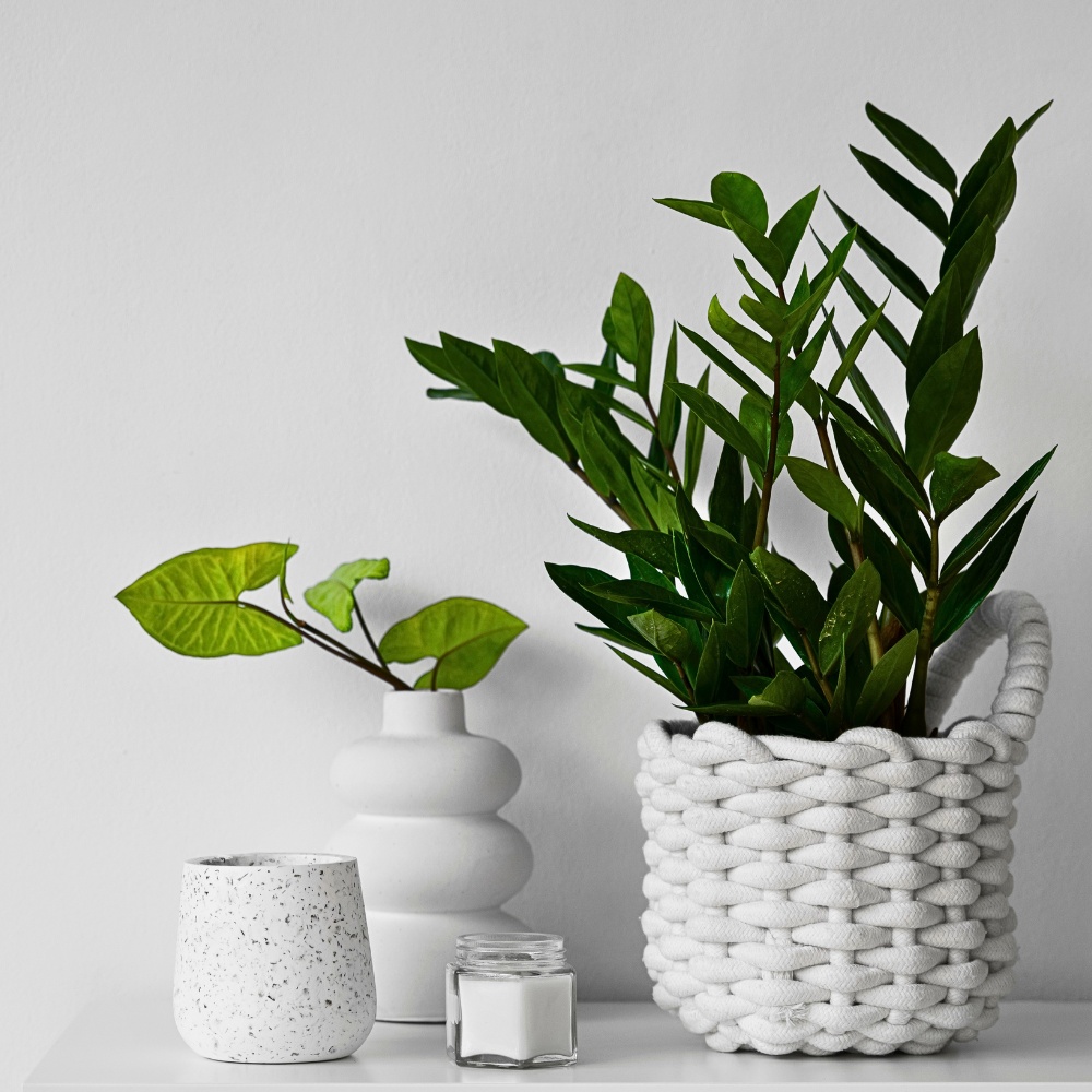 Are artificial plants for bathroom decor a good alternative to real ones? Artificial plants for bathroom decor or faux plants for bathroom decor can seem like a convenient solution &mdash; no watering, no maintenance, no worry about humidity levels or light. However, they miss out on all the tangible benefits that living plants bring