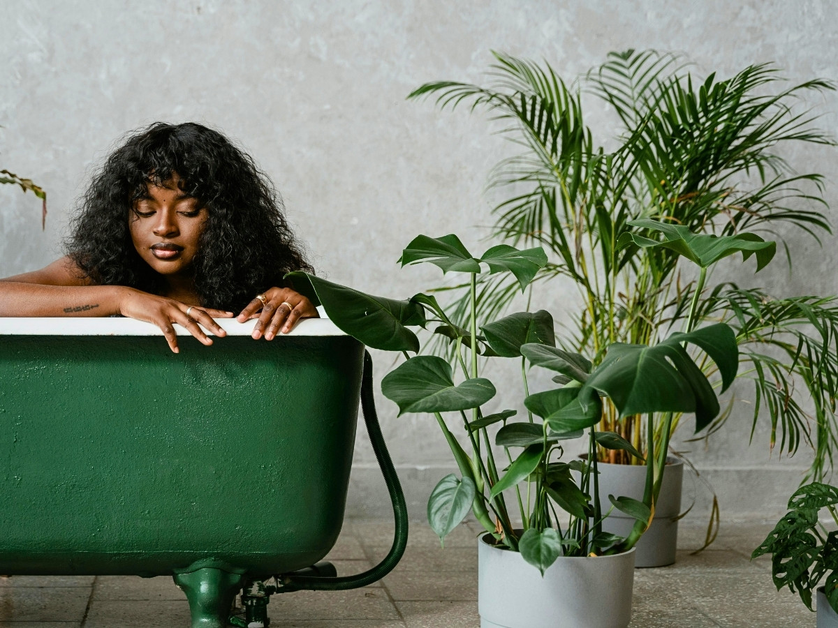 What Types of Plants for Bathroom Decor Flourish Best?