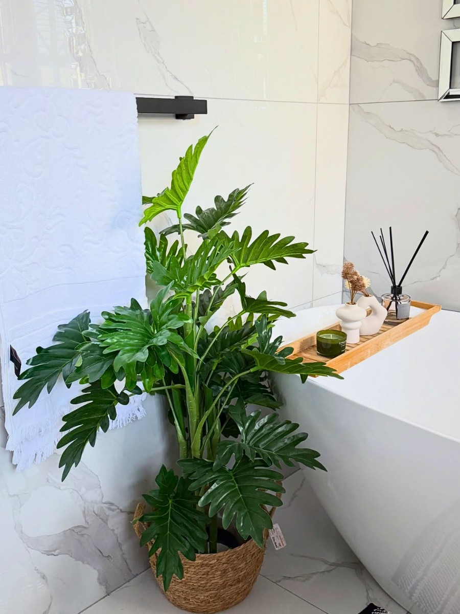 Choosing plants for bathroom decor that match your interior style comes down to three factors: color, texture, and scale. 
