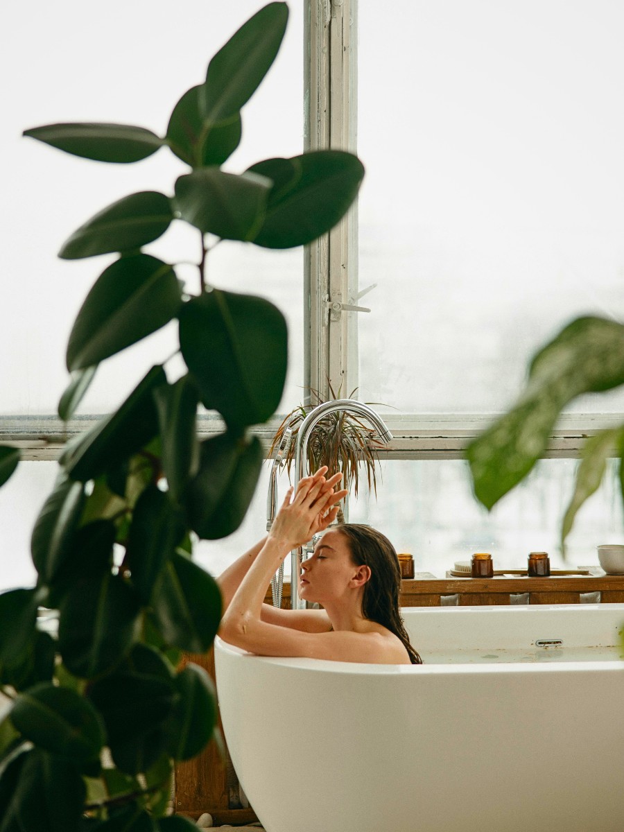 How Can You Choose Decorative Plants for the Bathroom That Complement Your Decor?