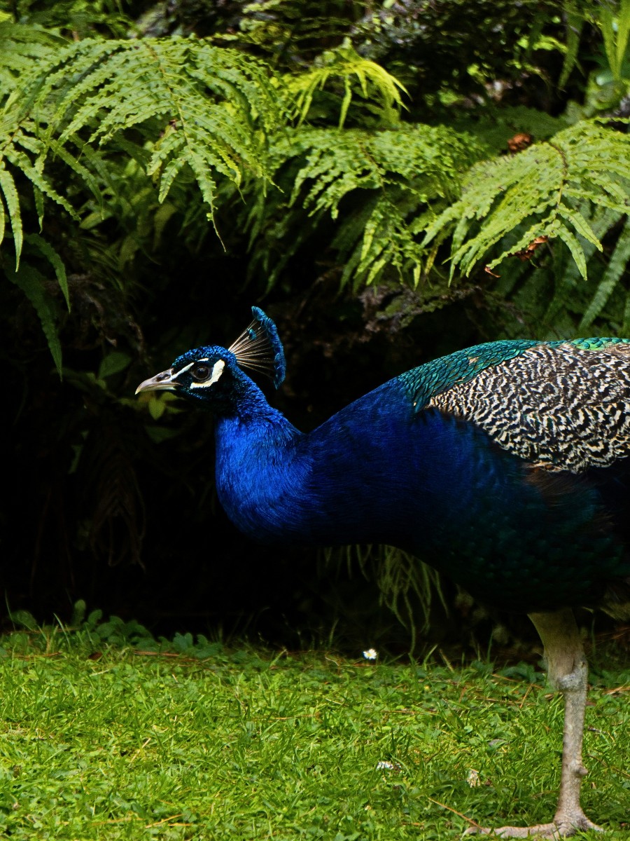 Celebrate National Zoo Lovers Day on April 8th With These Fun Ideas