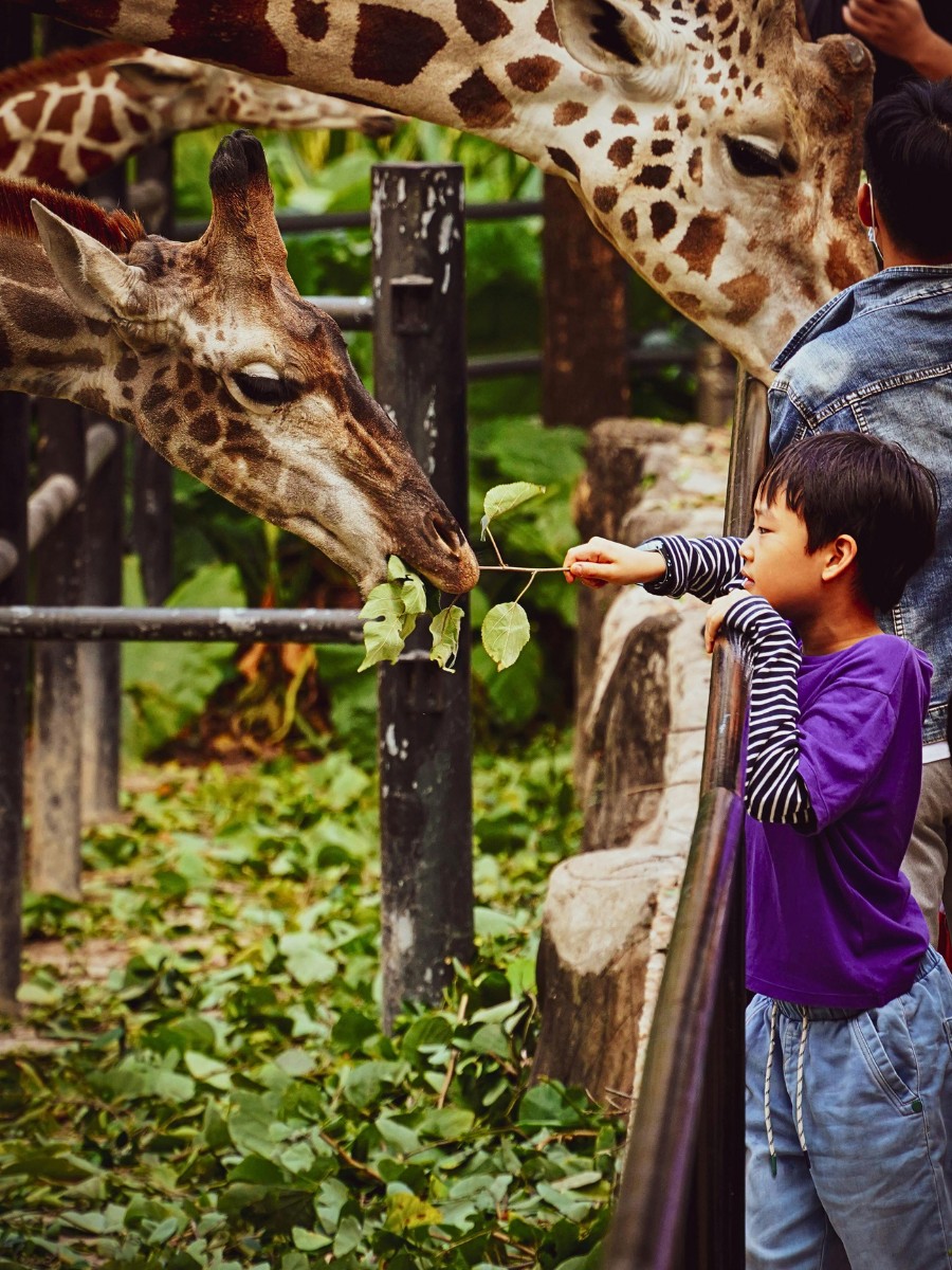 Celebrate National Zoo Lovers Day on April 8th With These Fun Ideas 