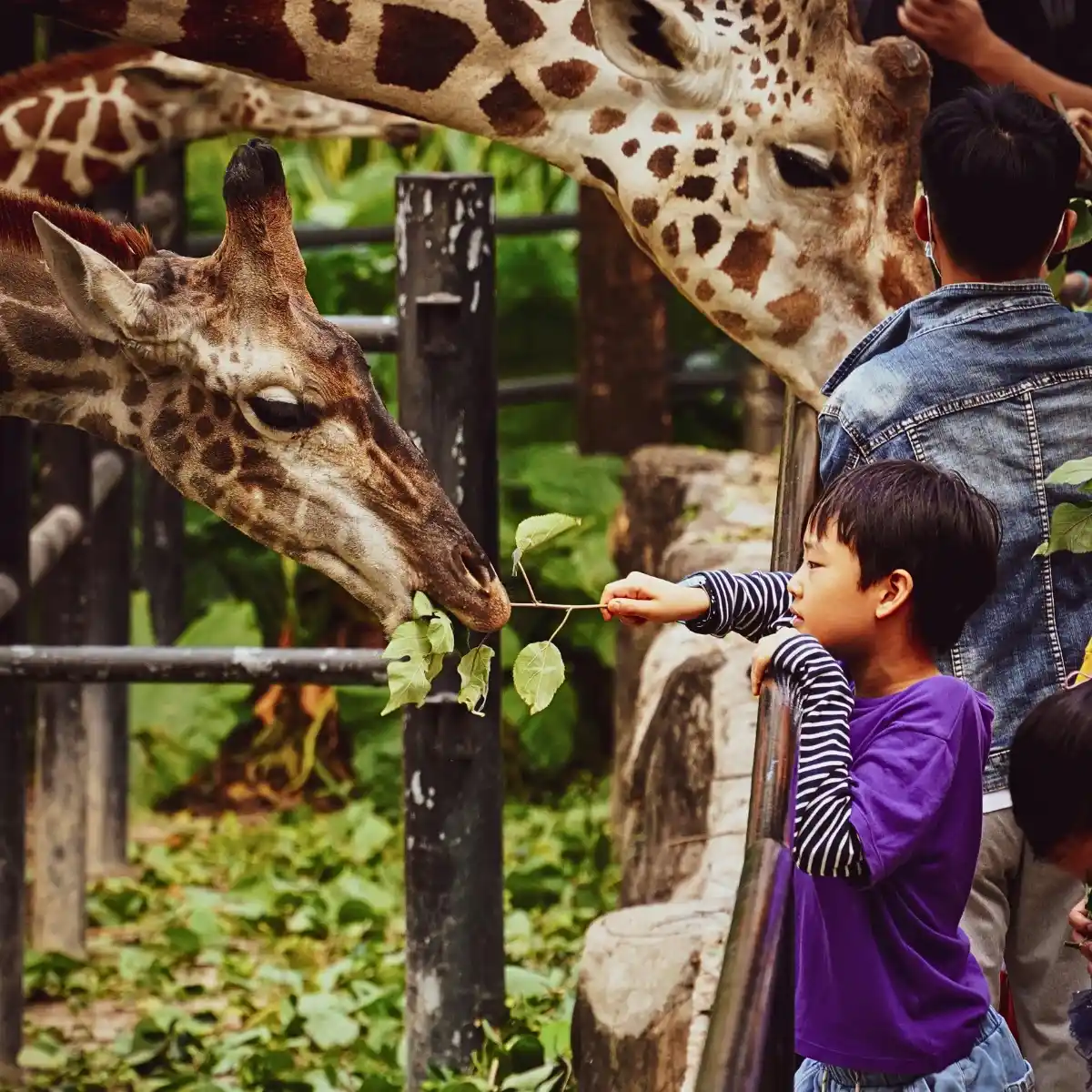 Celebrate National Zoo Lovers Day on April 8th With These Fun Ideas