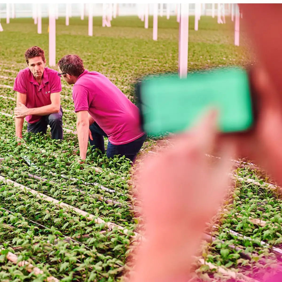 The Horticulture Sector Is Often Underestimated