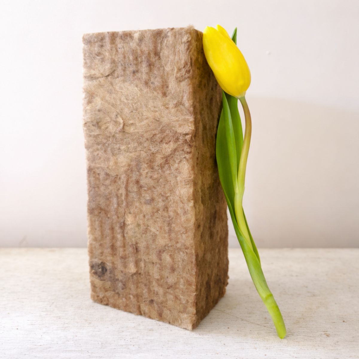 Sideau with Tulip by lorabloom.consulting