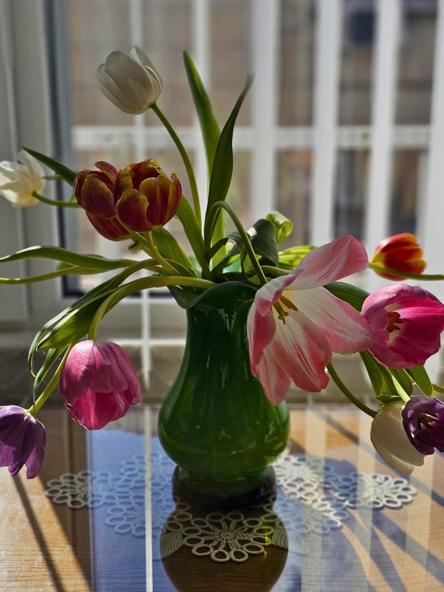 Why Do Tulips Keep Growing in a Vase?