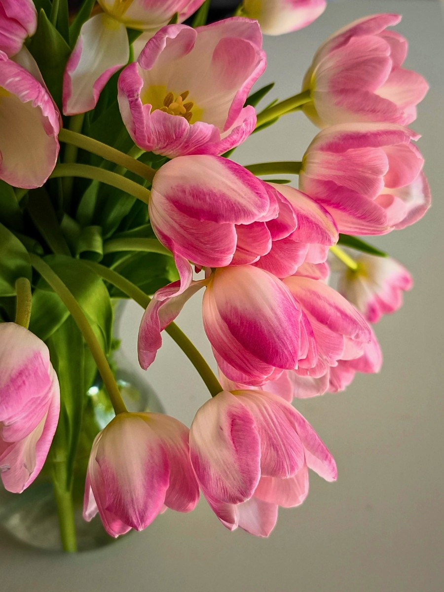 Here&rsquo;s Why Tulips Keep Growing Even When Cut and Placed in a Vase