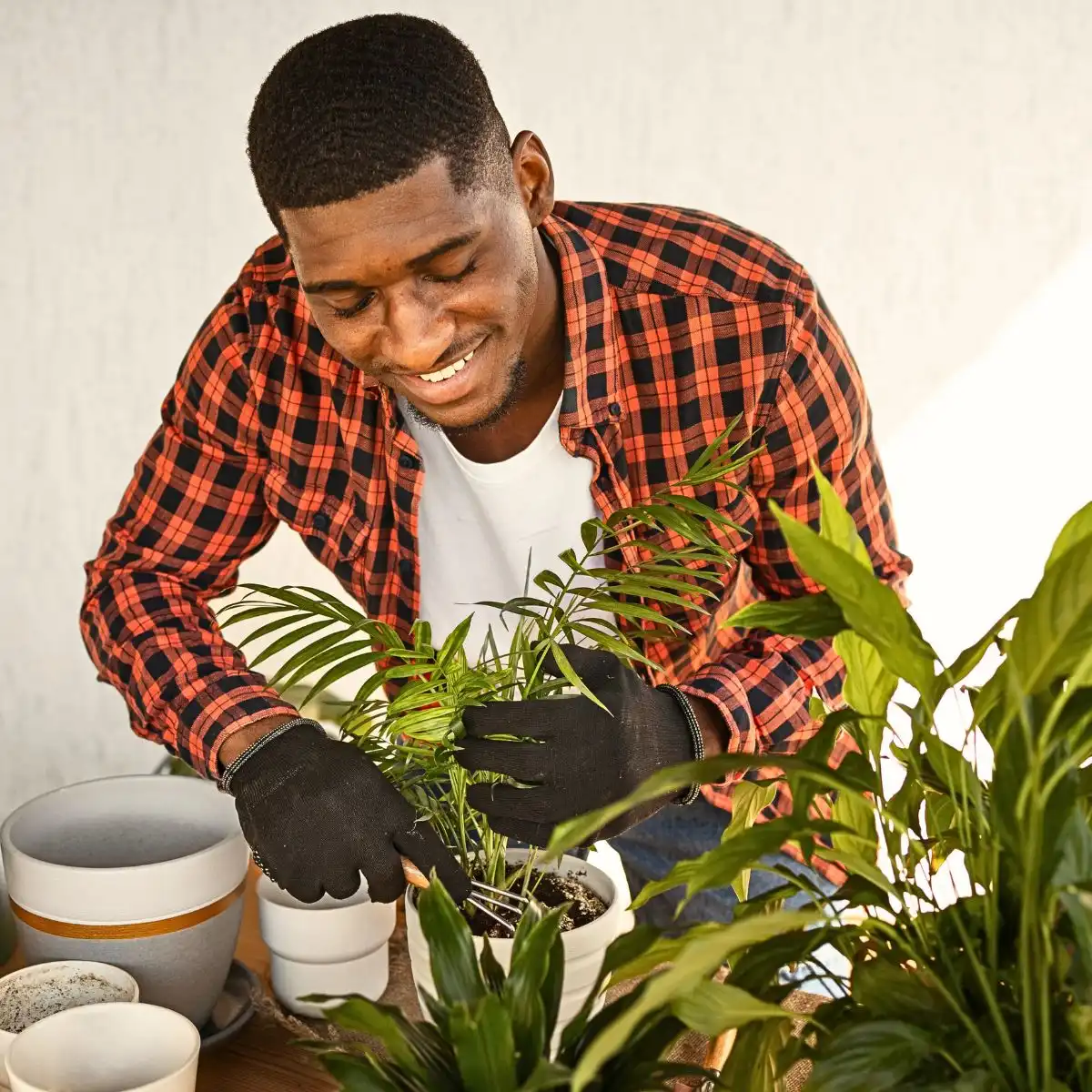 Plant Care Math Feature Image