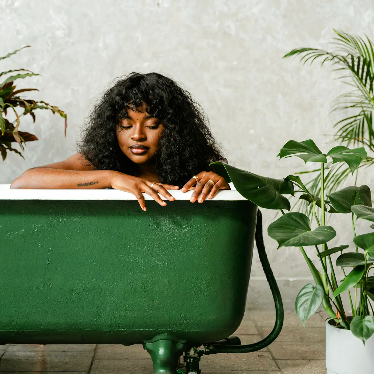 How Can You Choose Decorative Plants for the Bathroom That Complement Your Decor?