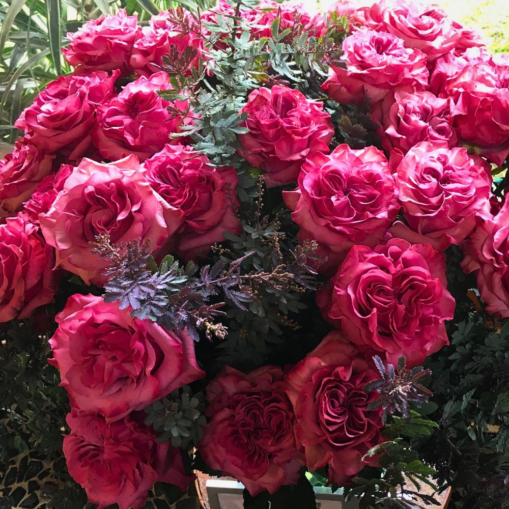 Fontana Flowers&rsquo; Rose Country Blues Is a Garden-Type Gem That Radiates a Vintage Charm in Designs