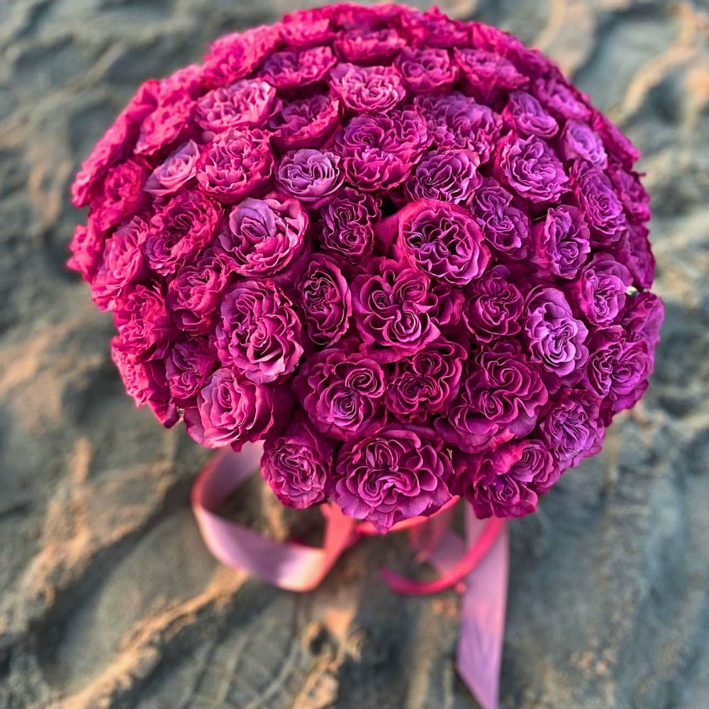 Fontana Flowers&rsquo; Rose Country Blues Is a Garden-Type Gem That Radiates a Vintage Charm in Designs