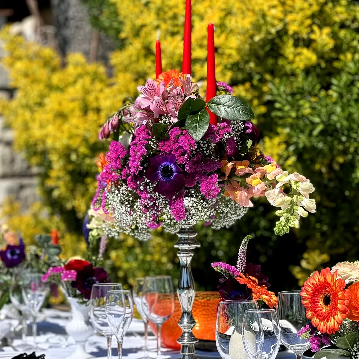 Sideau with tulip by lorabloom consulting