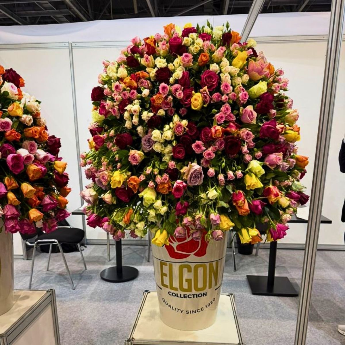 Roses From Mount Elgon at Astana Exhibition