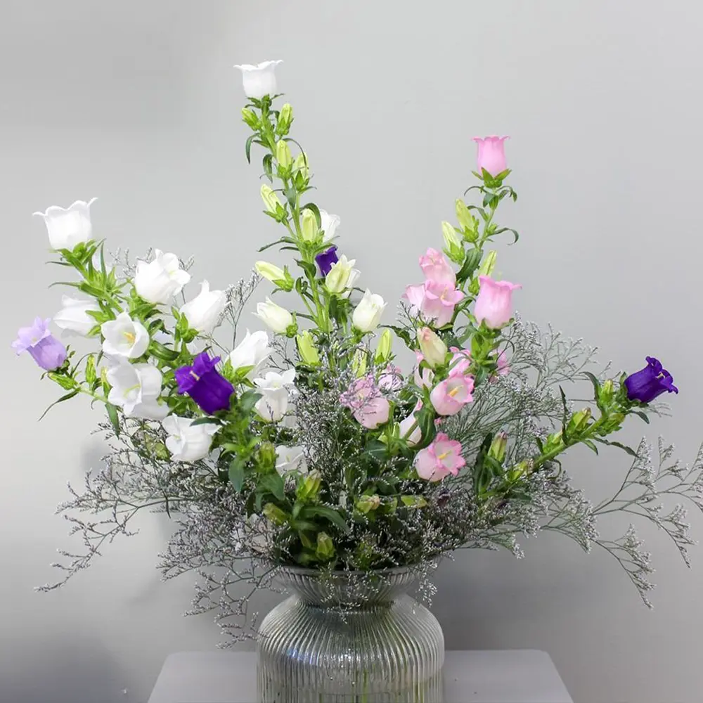 De Waal Fensie grower on Thursd feature