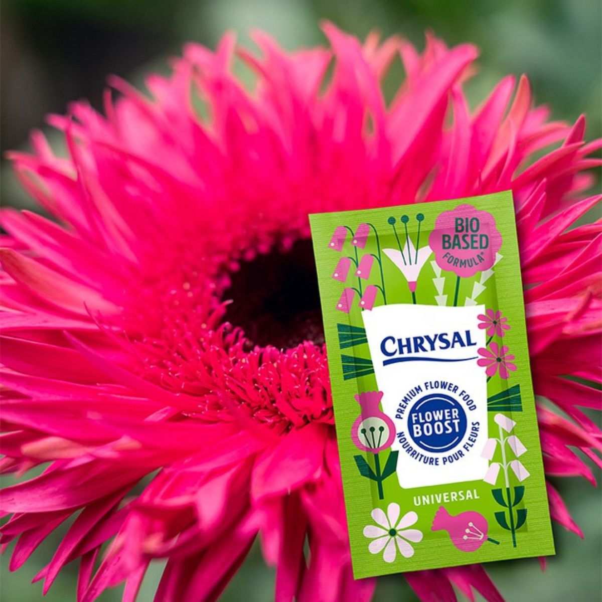 Chrysal flower boost for Gerberas