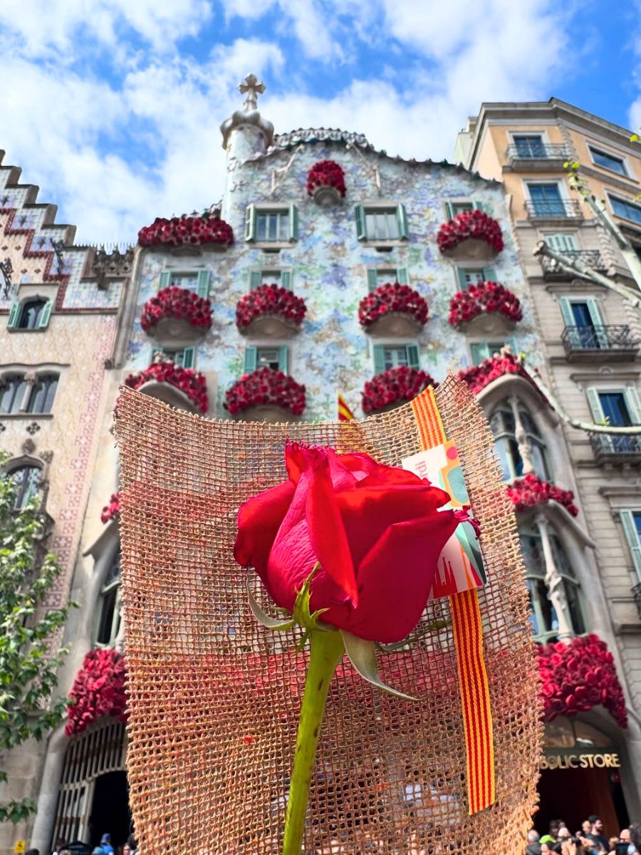 Sant Jordi celebration in Barcelona