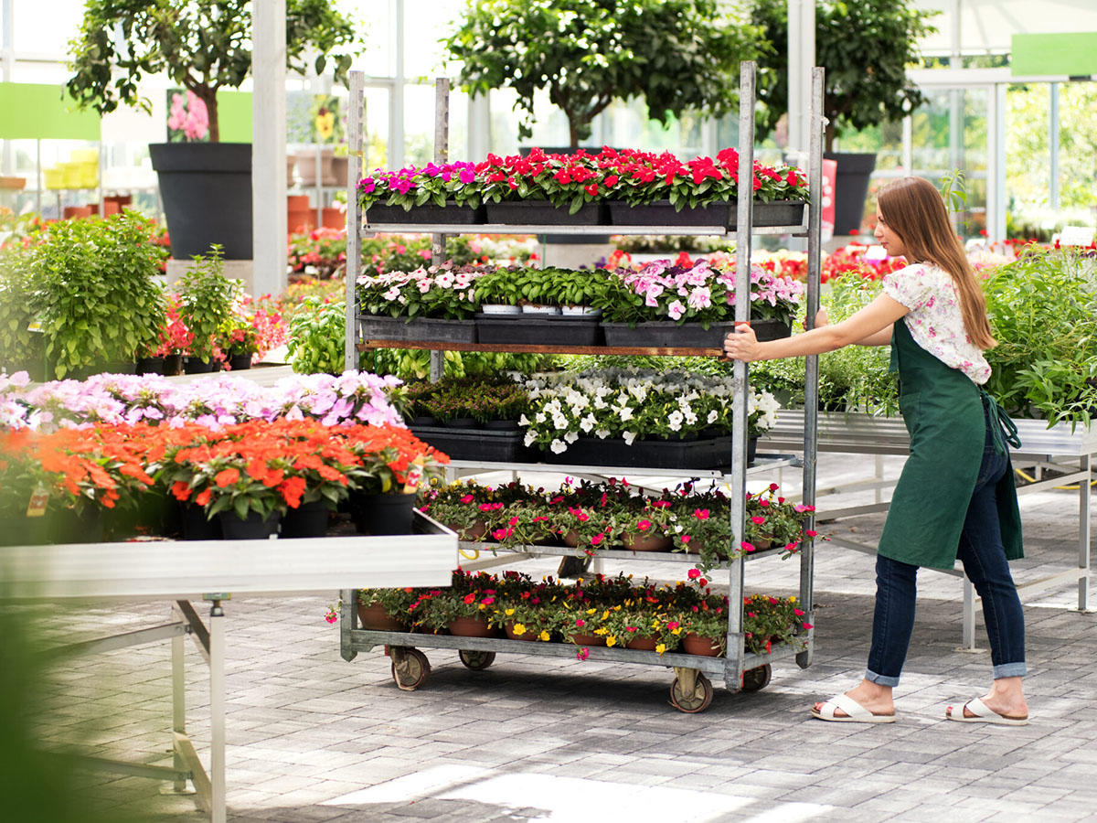 Girl pushing CC trolleys in garden center