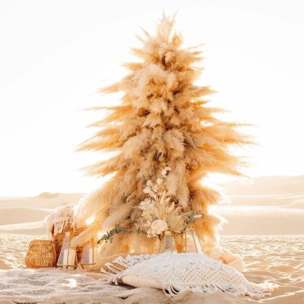 Pampas Grass Trends and Why It’s Here to Stay Pampas Christmas Tree