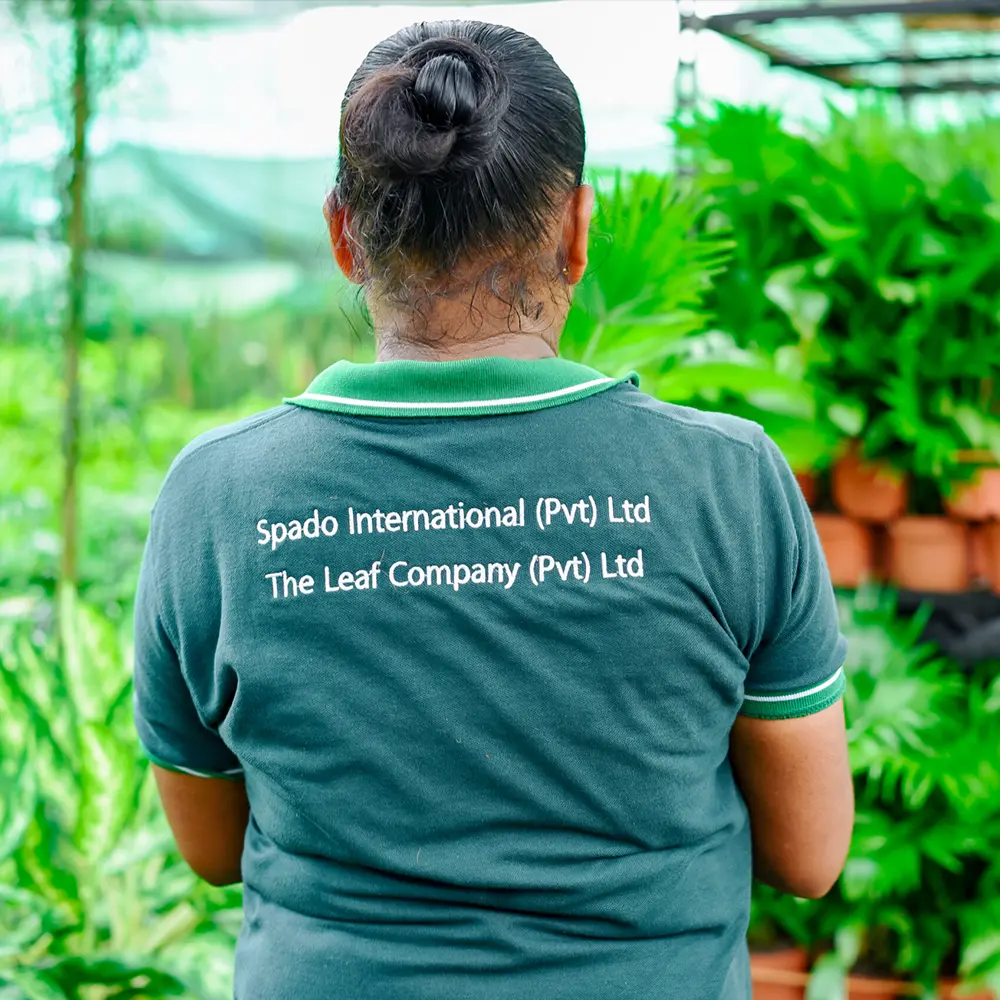 Spado grower on Thursd feature