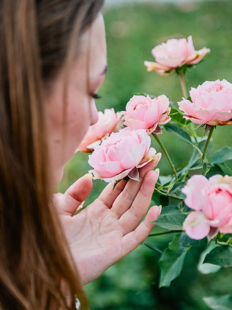 Why Do Flowers Smell Good? The Science Behind Floral Fragrance