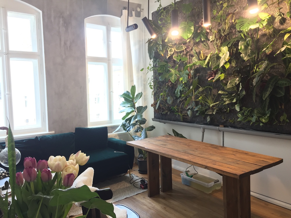 Couple Builds a Gorgeous DIY Plant Wall on a Budget in a Tiny Berlin Apartment Tropical Plants