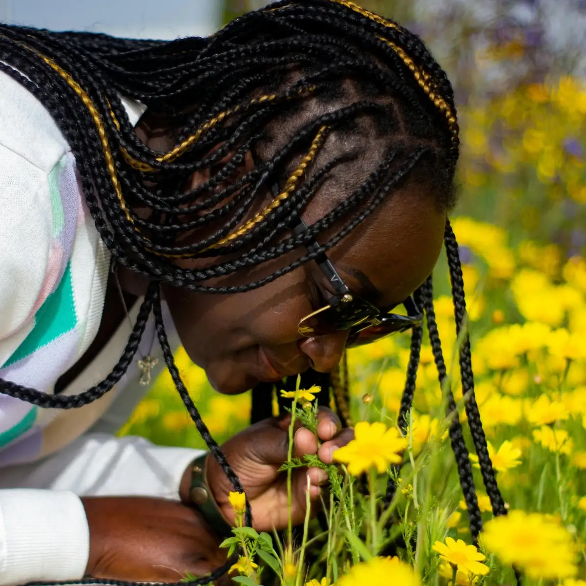 Why Do Flowers Smell Good? The Science Behind Floral Fragrance