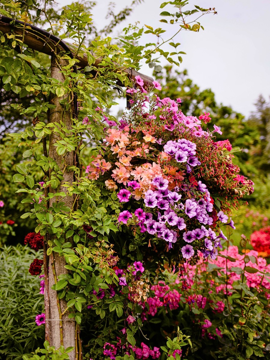 Why (And How) Are Flowers Important for Ecosystems?