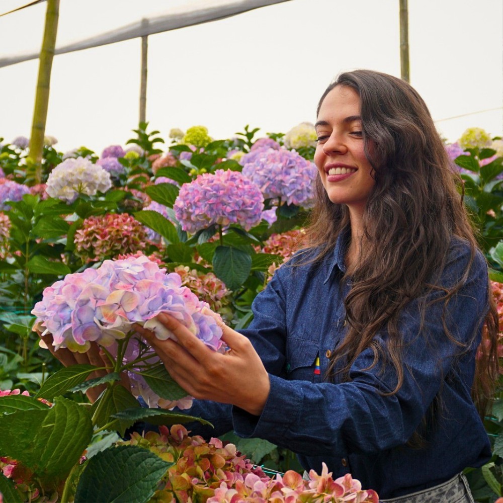 Why (And How) Are Flowers Important for Ecosystems?