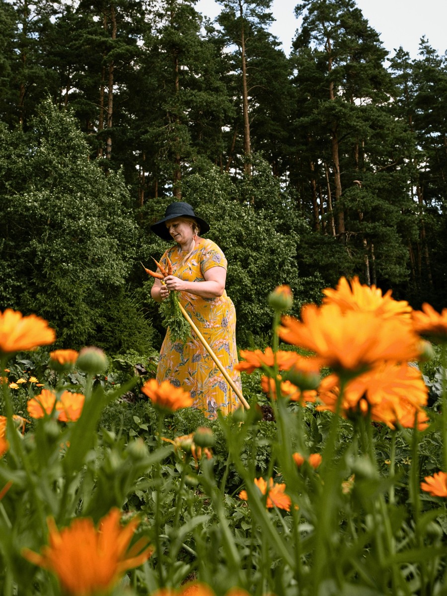 Why and How Are Flowers Important for Ecosystems? What Benefits Do They Provide?