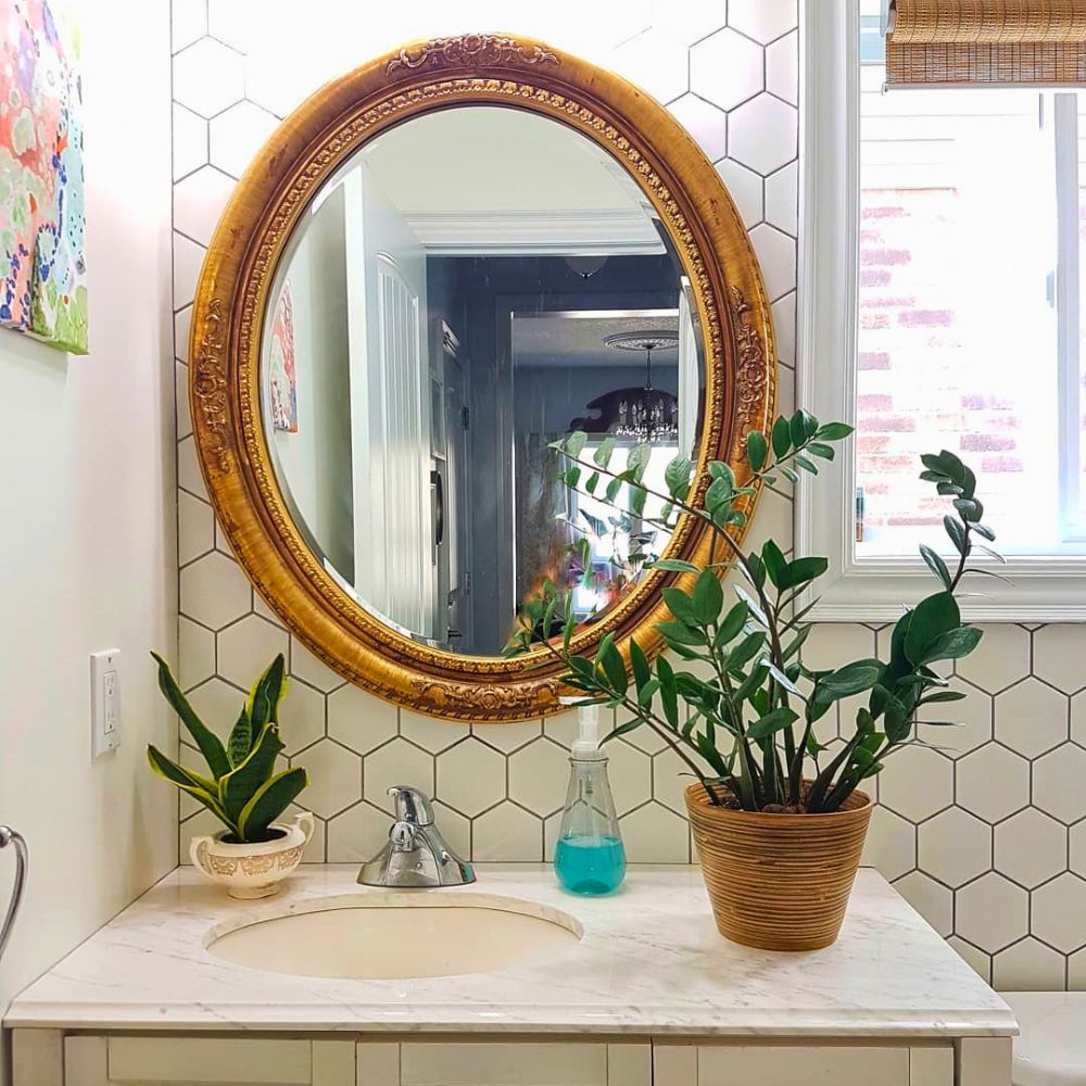 Snake plant and ZZ plant in a bathroom sink