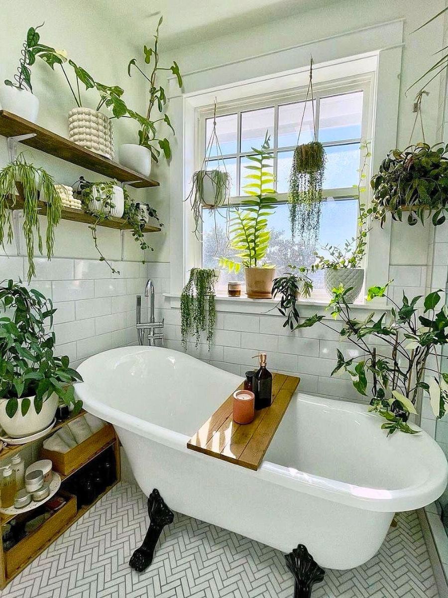 Greener bathroom with its beauty