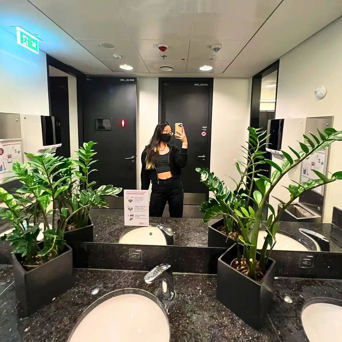 Benefits of bathroom plants