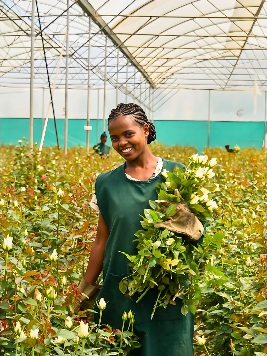 How the Ethiopian Horticulture Producer Exporters Association (EHPEA) Code of Practice Keeps Ethiopian Flowers Competitive Globally