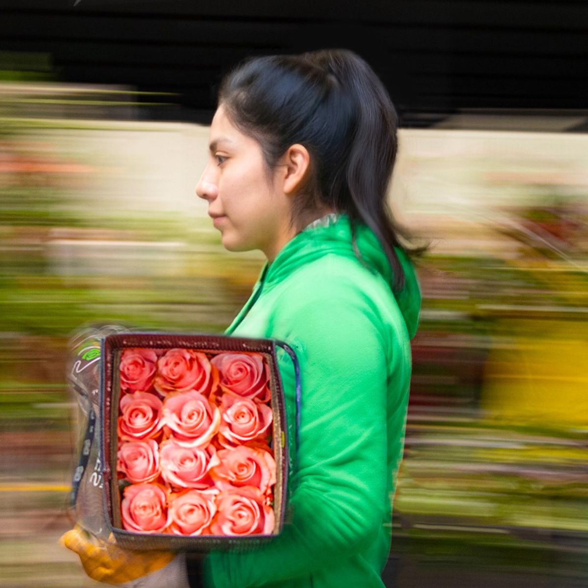 Star Roses worldwide shipping