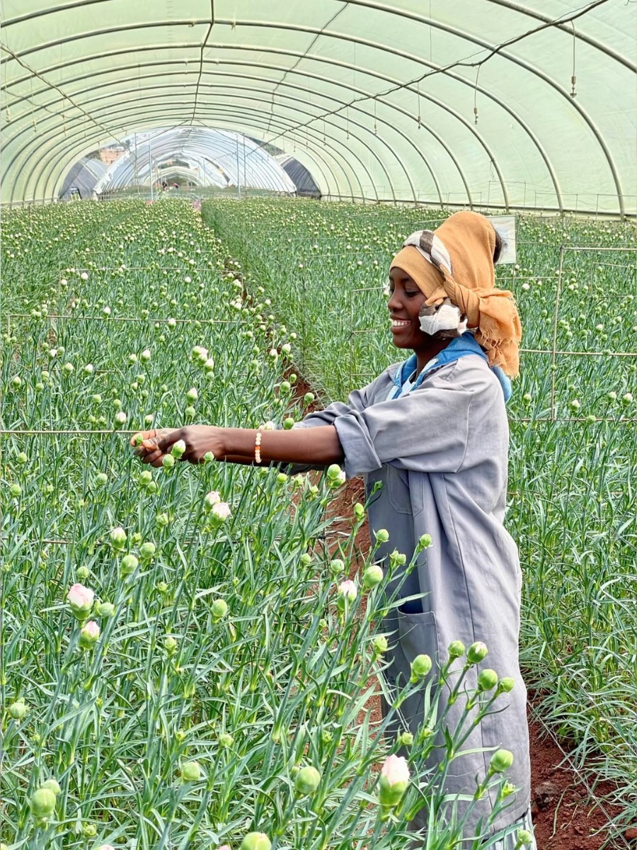 How the Ethiopian Horticulture Producer Exporters Association (EHPEA) Code of Practice Keeps Ethiopian Flowers Competitive Globally