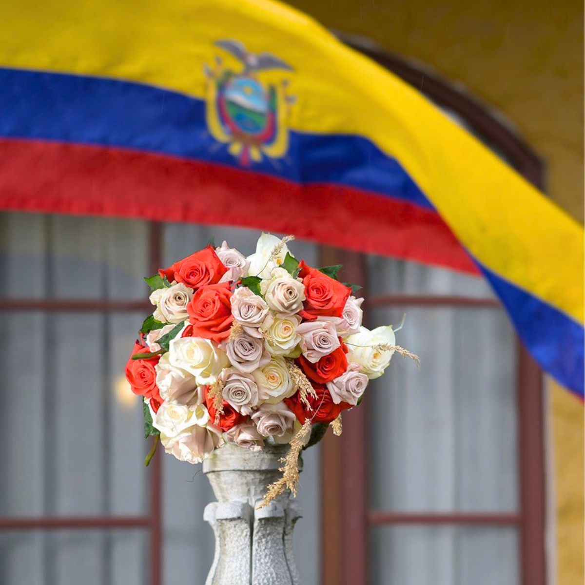 Ecuadorian roses by Star Roses
