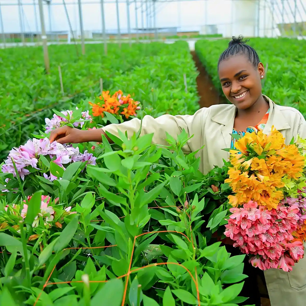 How the Ethiopian Horticulture Producer Exporters Association (EHPEA) Code of Practice Keeps Ethiopian Flowers Competitive Globally