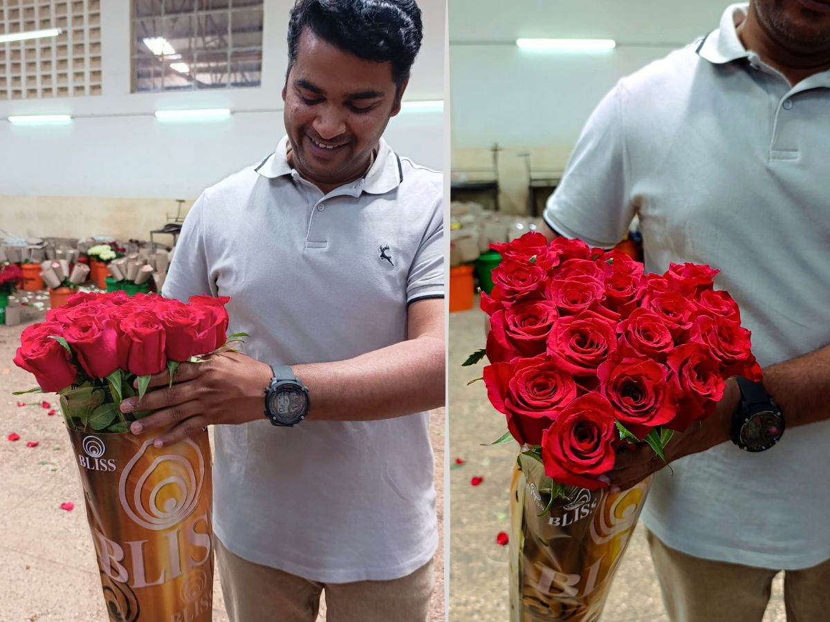 Red Monarch Meiriposo