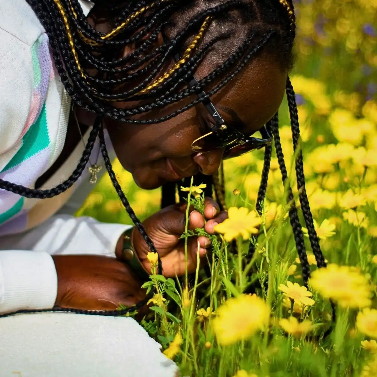 Why Do Flowers Smell Good? The Science Behind Floral Fragrance