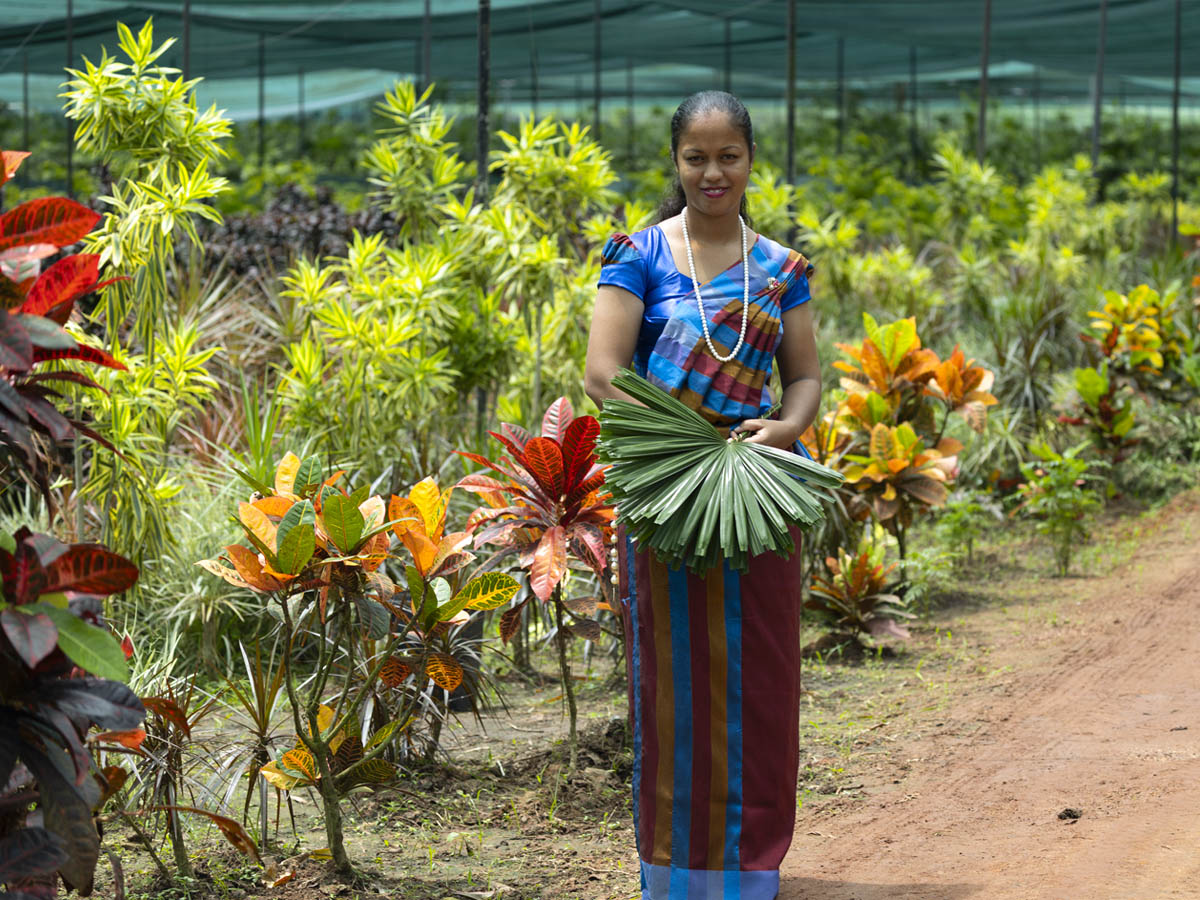 Spado female worker with Rhapis excelsa foliage