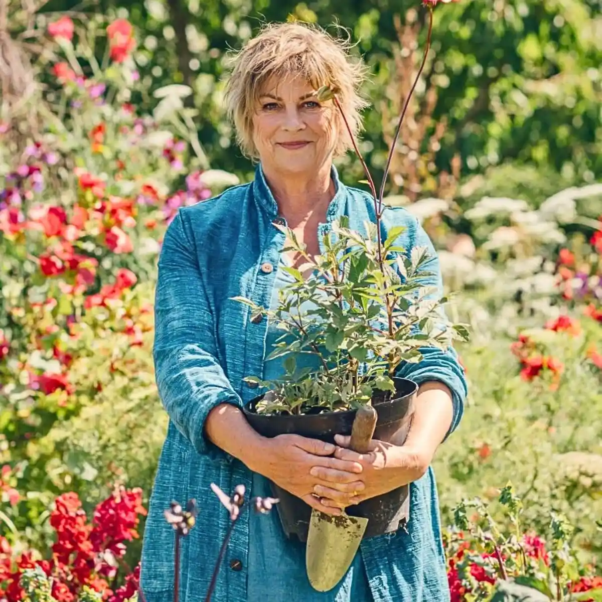 Flower Farming Feature Image