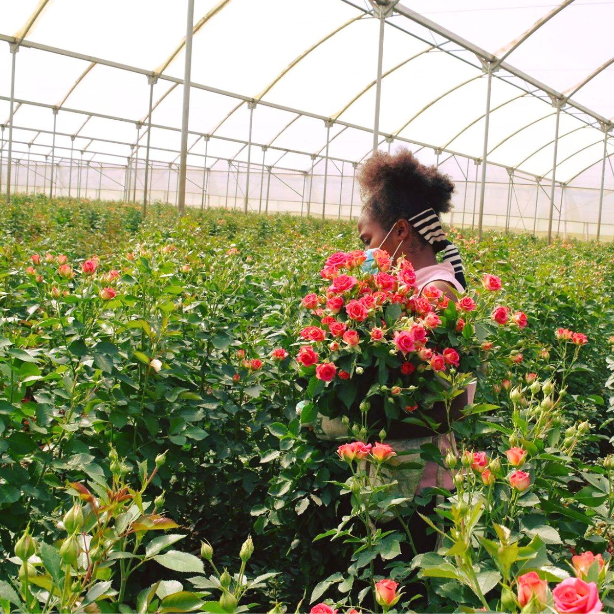 10 questions to Ben Braam