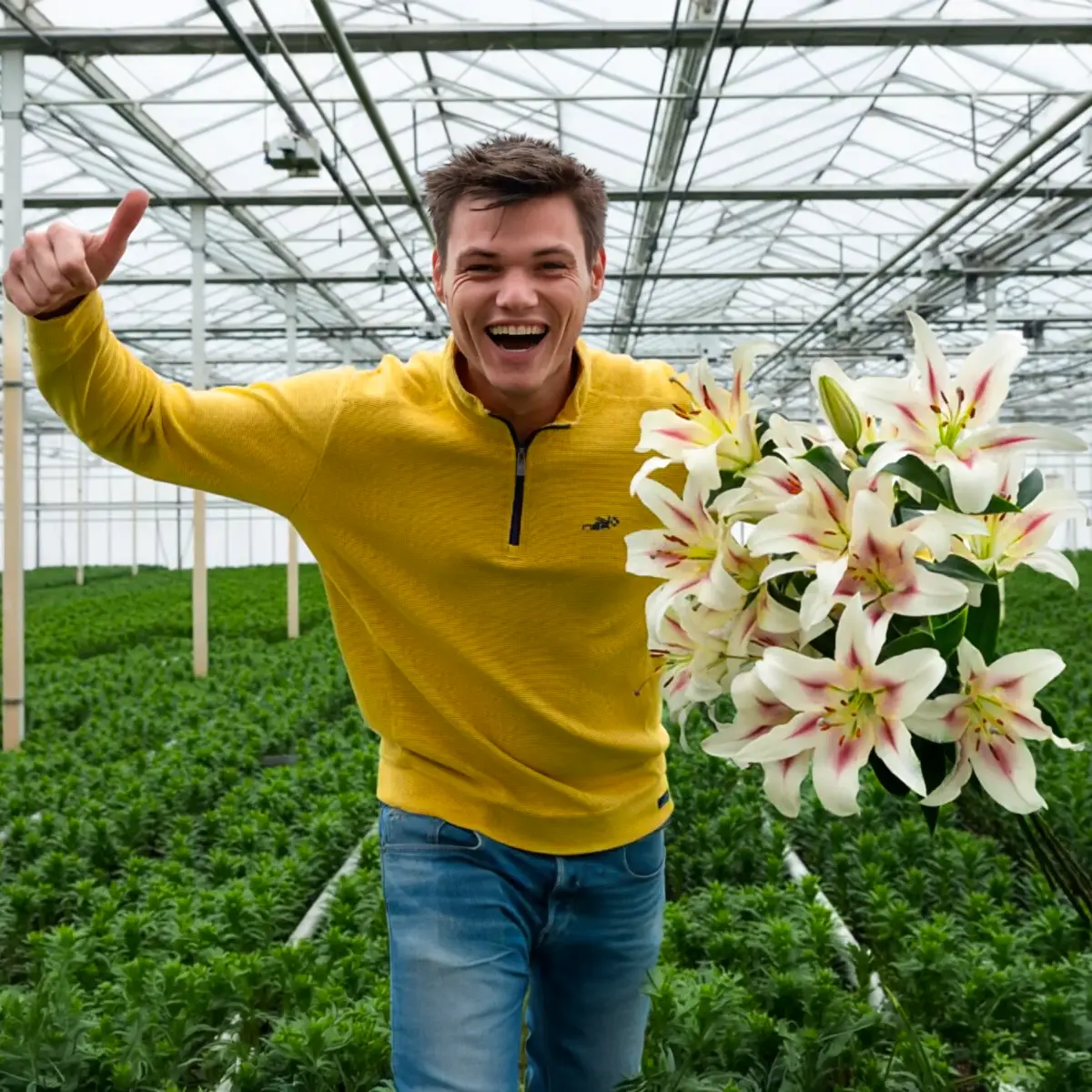 Chrysal Lilies Bredefleur