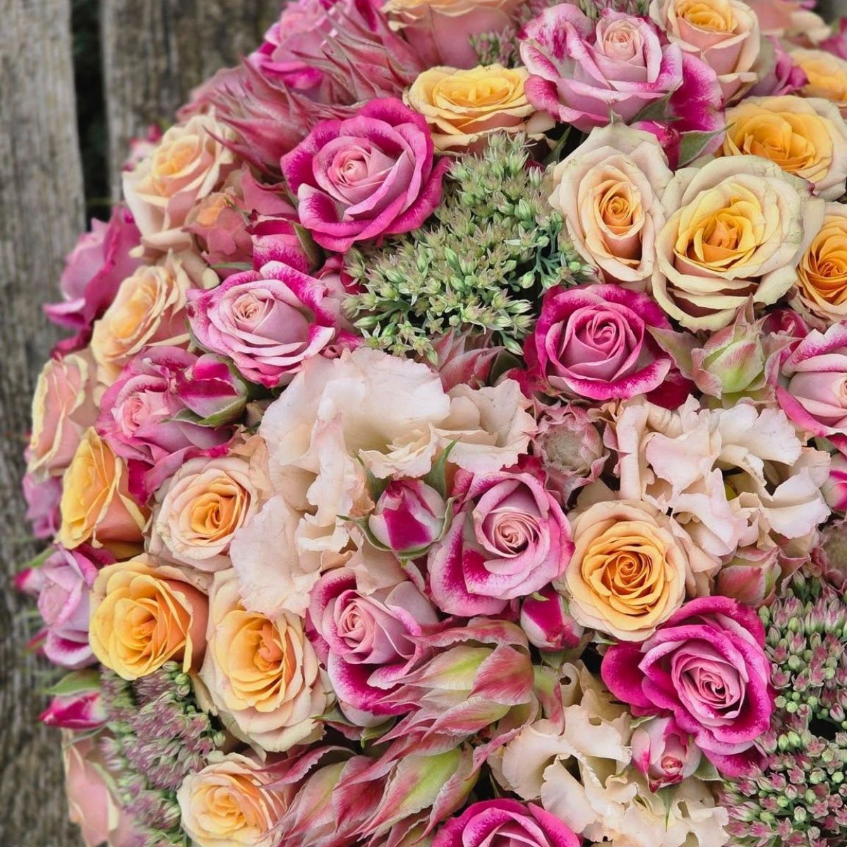 10 questions to Ben Braam