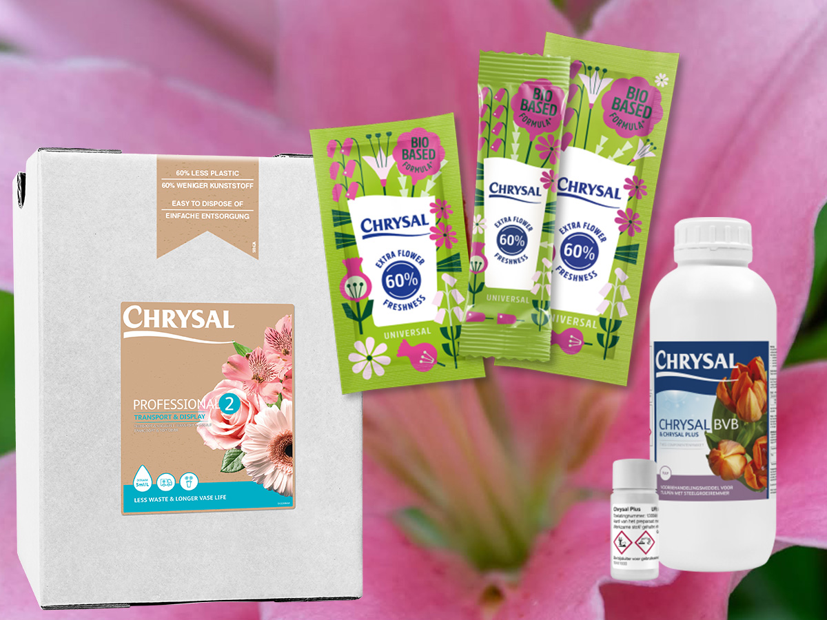 Chrysal lilies solutions