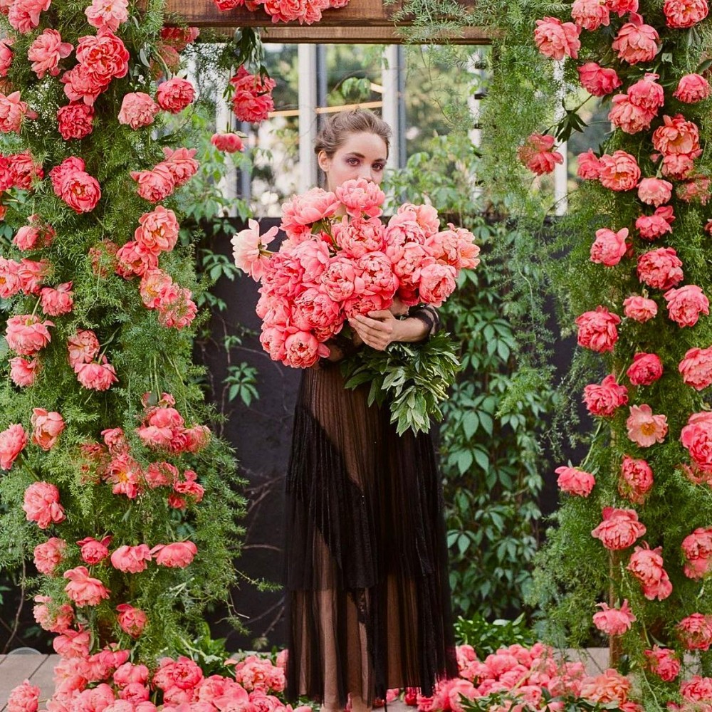 Which Flowers Are Best for Spring Weddings?